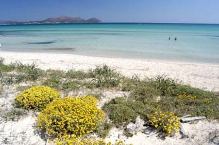 Apartment Alcudia Ocean View Kültér fotó